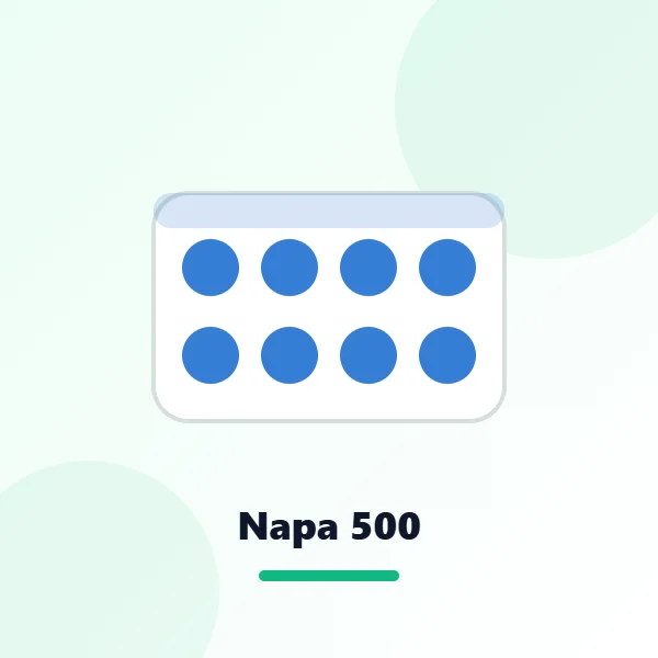 Napa 500