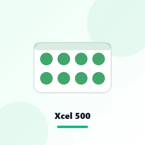 Xcel 500